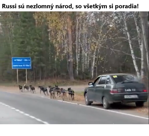 Hm.... sabakov mnoga!